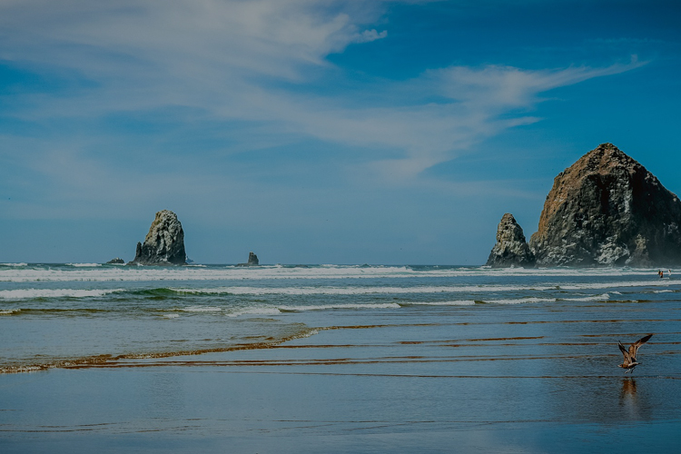 大自然の中で行うヨガを360°VRで体験