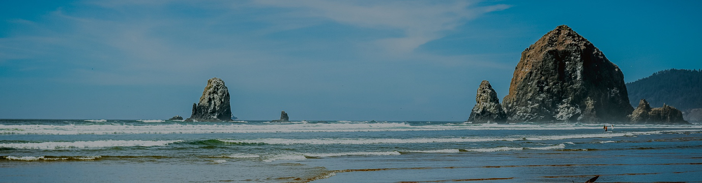 大自然の中で行うヨガを360°VRで体験